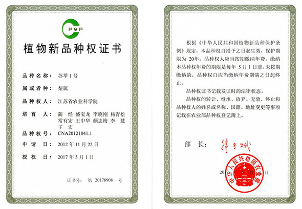 �������������ҵ���޹�˾